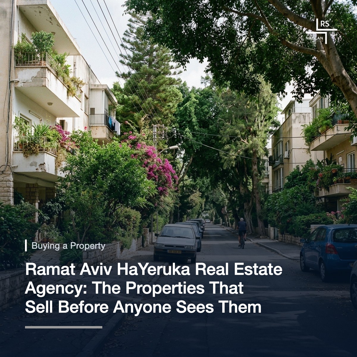 A quiet street shaded by trees in Ramat Aviv HaYeruka