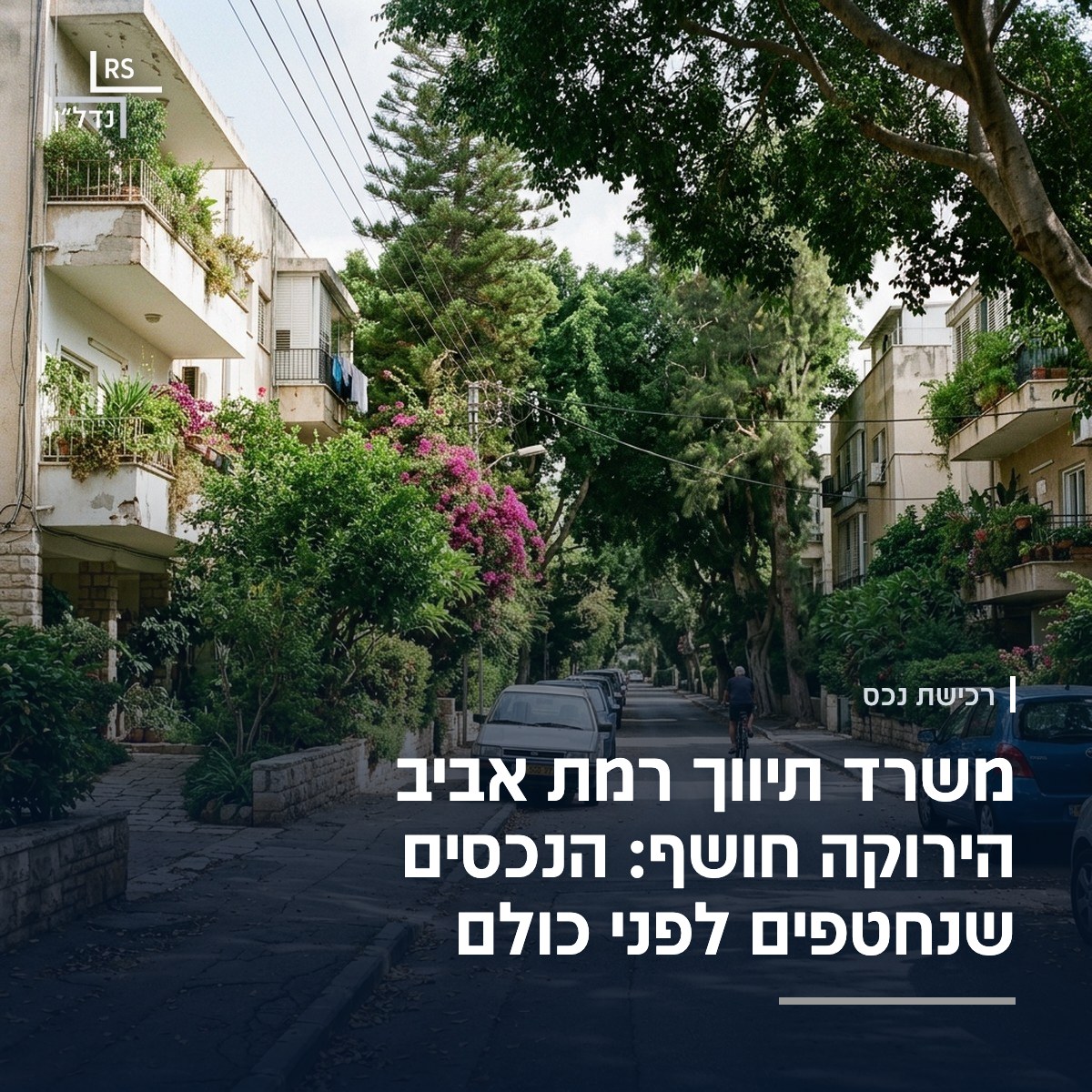 רחוב שקט ומוצל בעצים ברמת אביב הירוקה