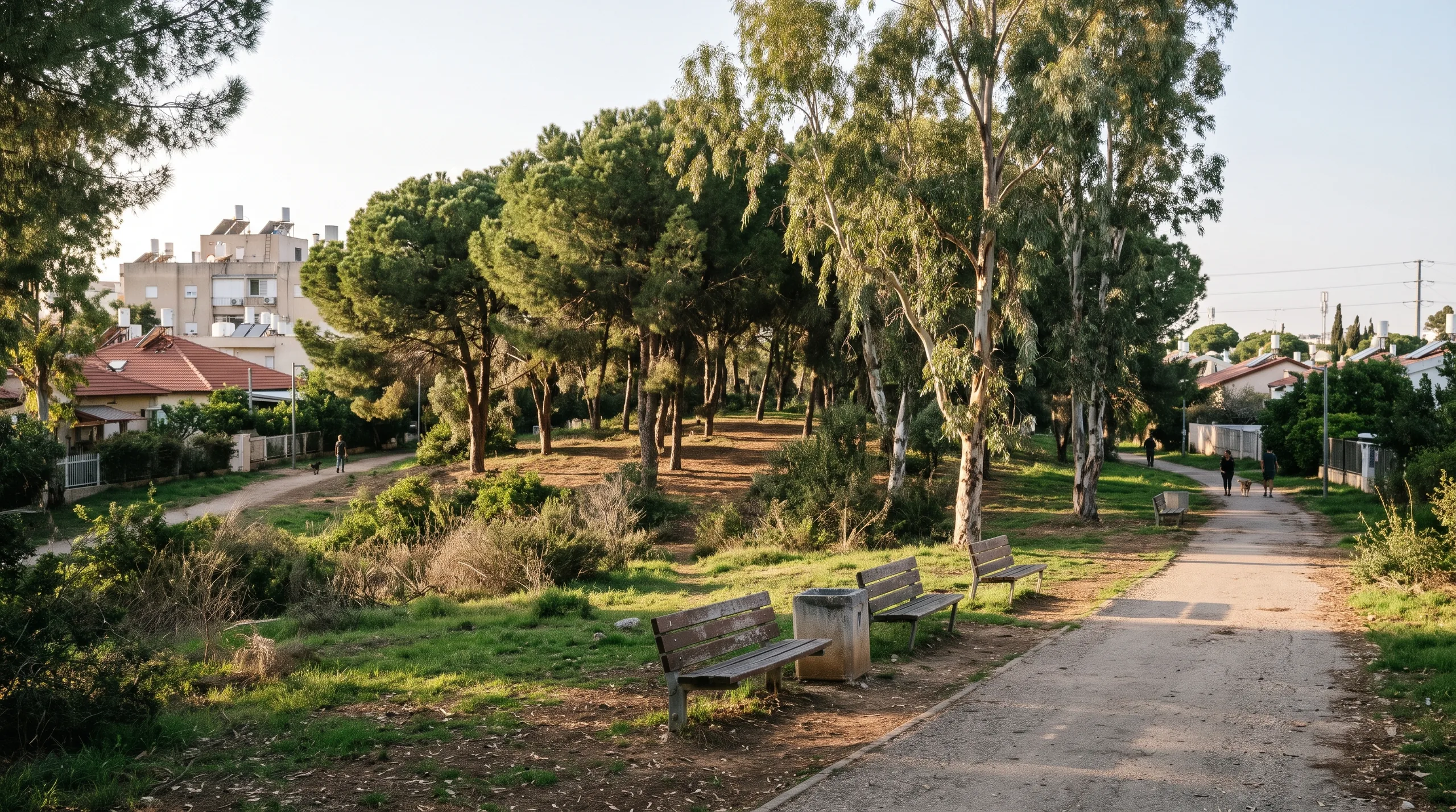 A green hill and grove in south Herzliya (illustration)