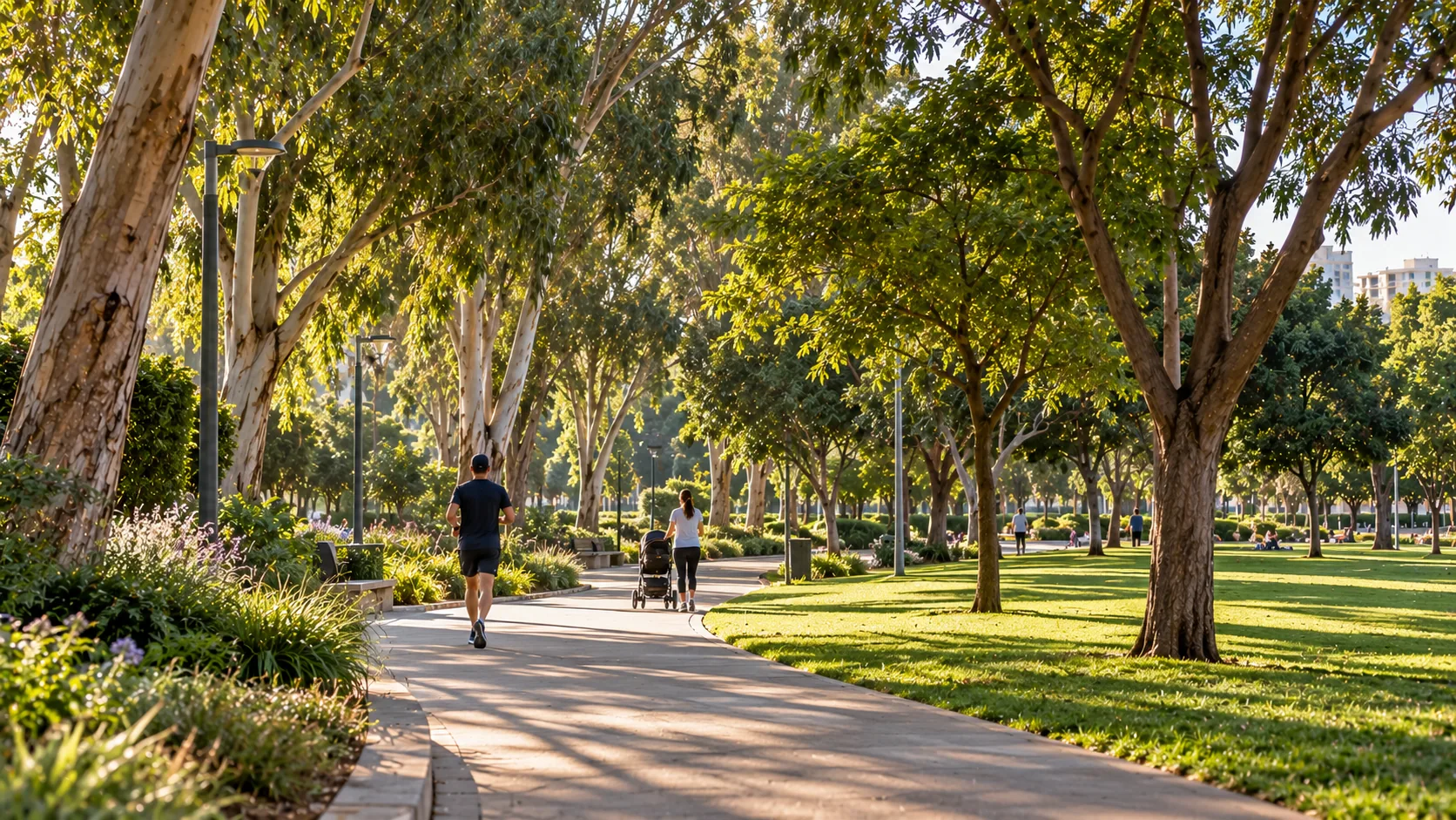 Une allée du parc de Kfar Saba, entre pelouses et arbres adultes (illustration)